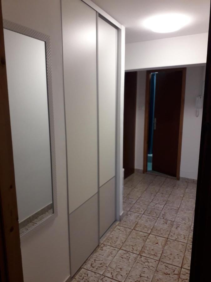 Apartments Pepe Novigrad Istria المظهر الخارجي الصورة
