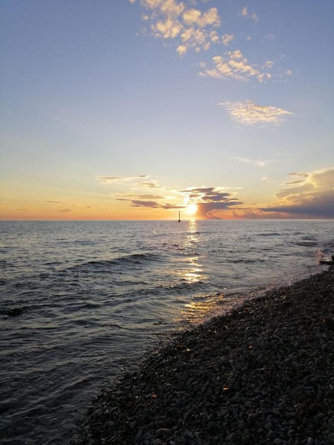 Apartments Pepe Novigrad Istria المظهر الخارجي الصورة