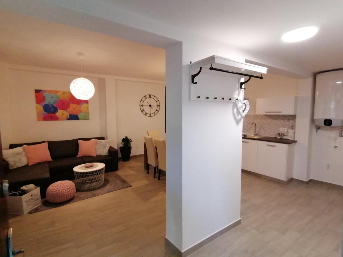 Apartments Pepe Novigrad Istria المظهر الخارجي الصورة