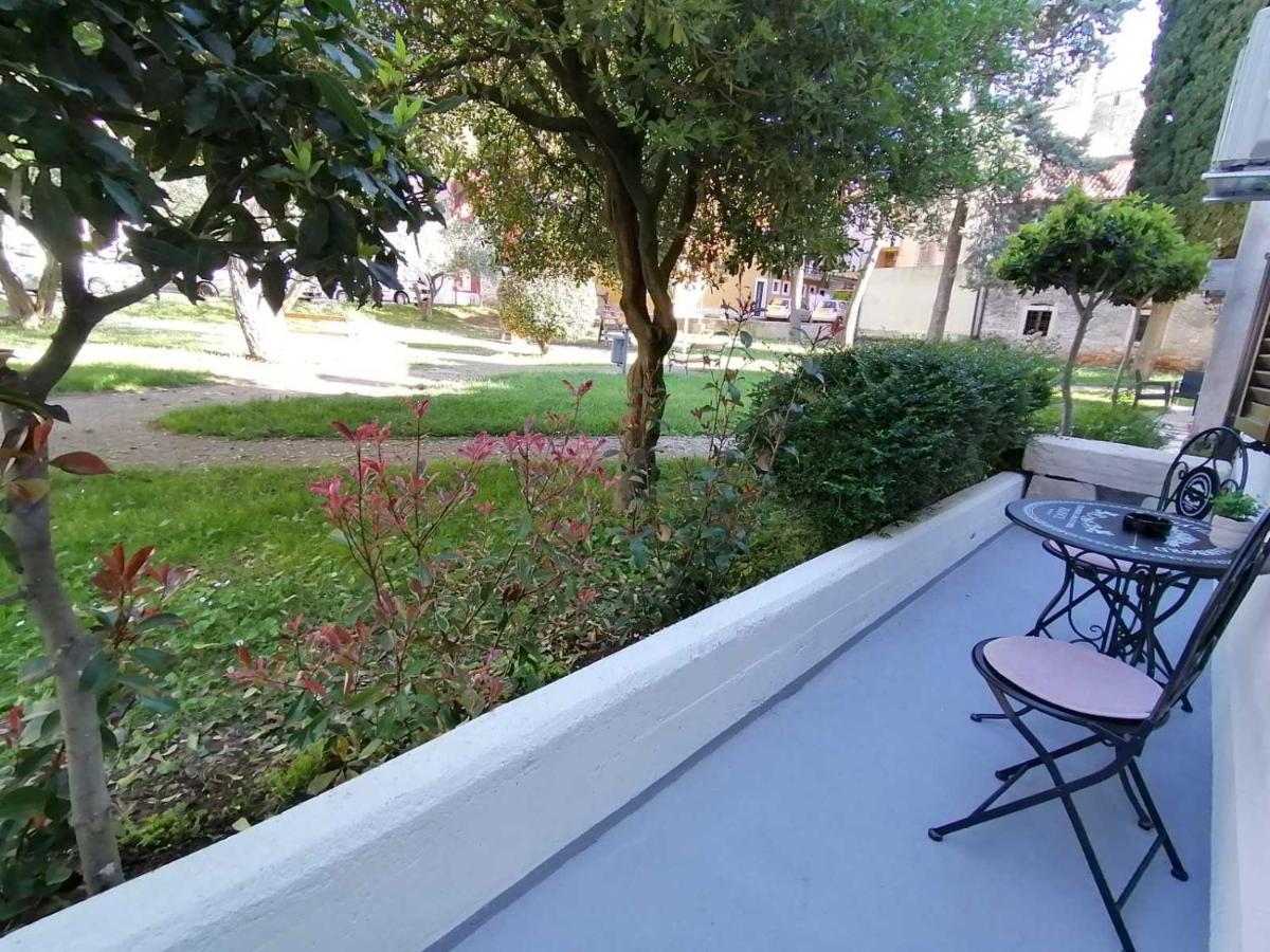Apartments Pepe Novigrad Istria المظهر الخارجي الصورة