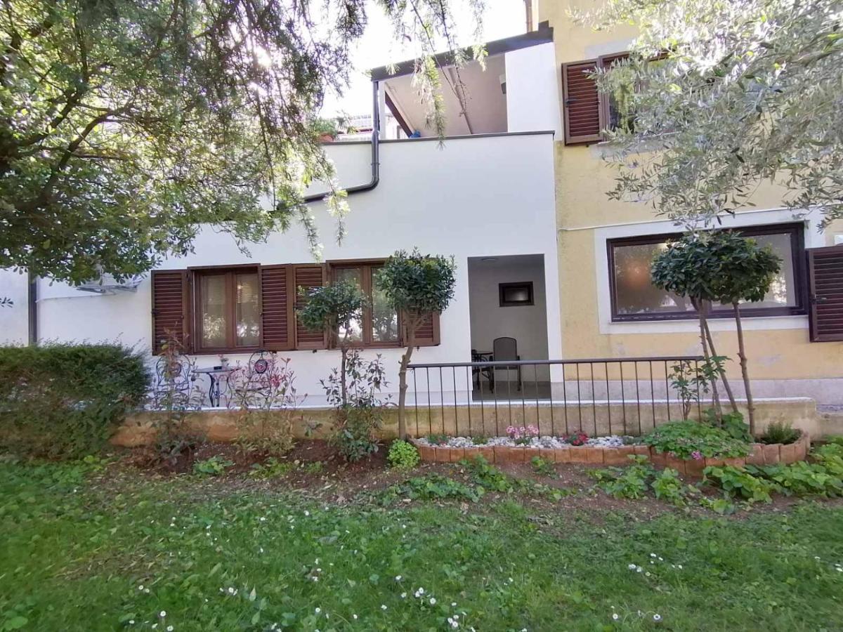 Apartments Pepe Novigrad Istria المظهر الخارجي الصورة