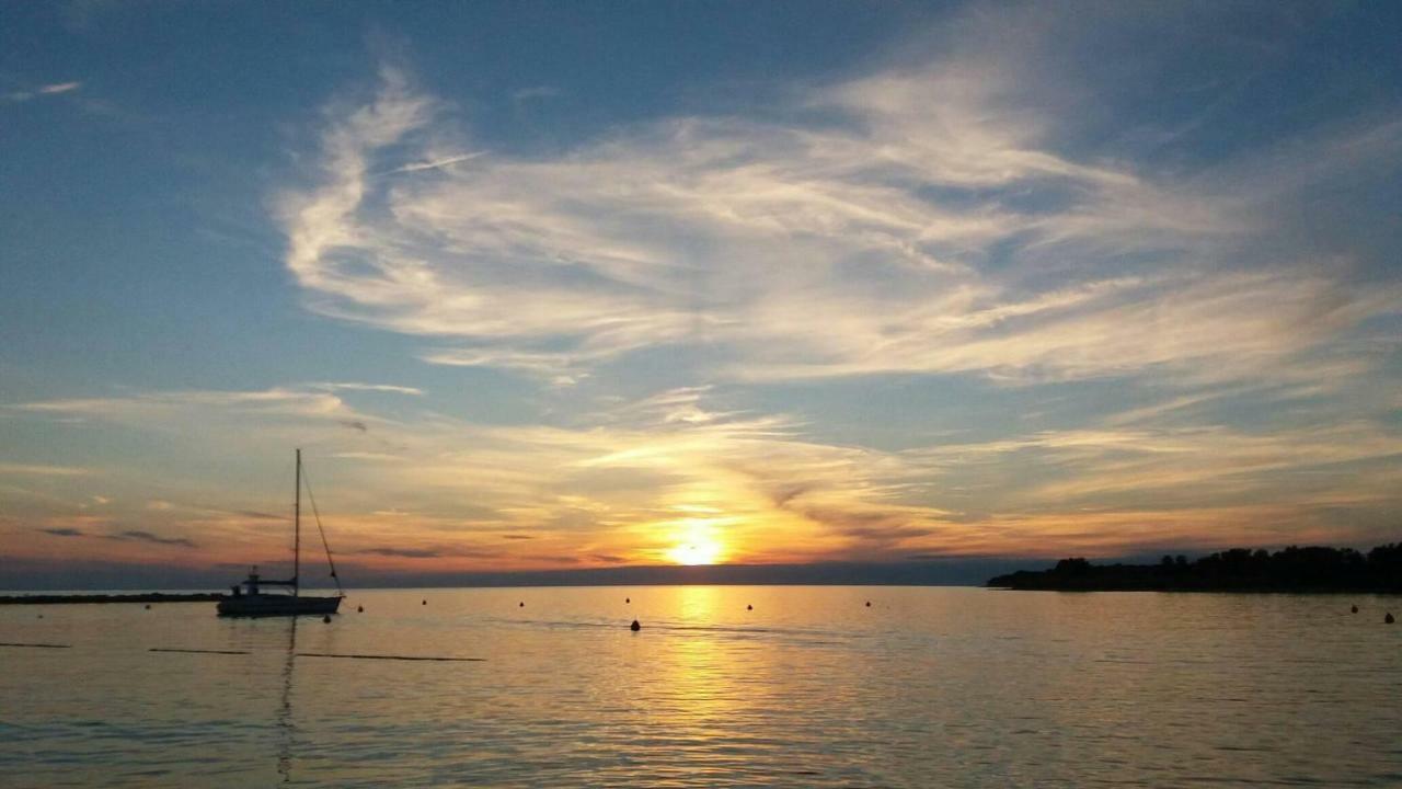 Apartments Pepe Novigrad Istria المظهر الخارجي الصورة