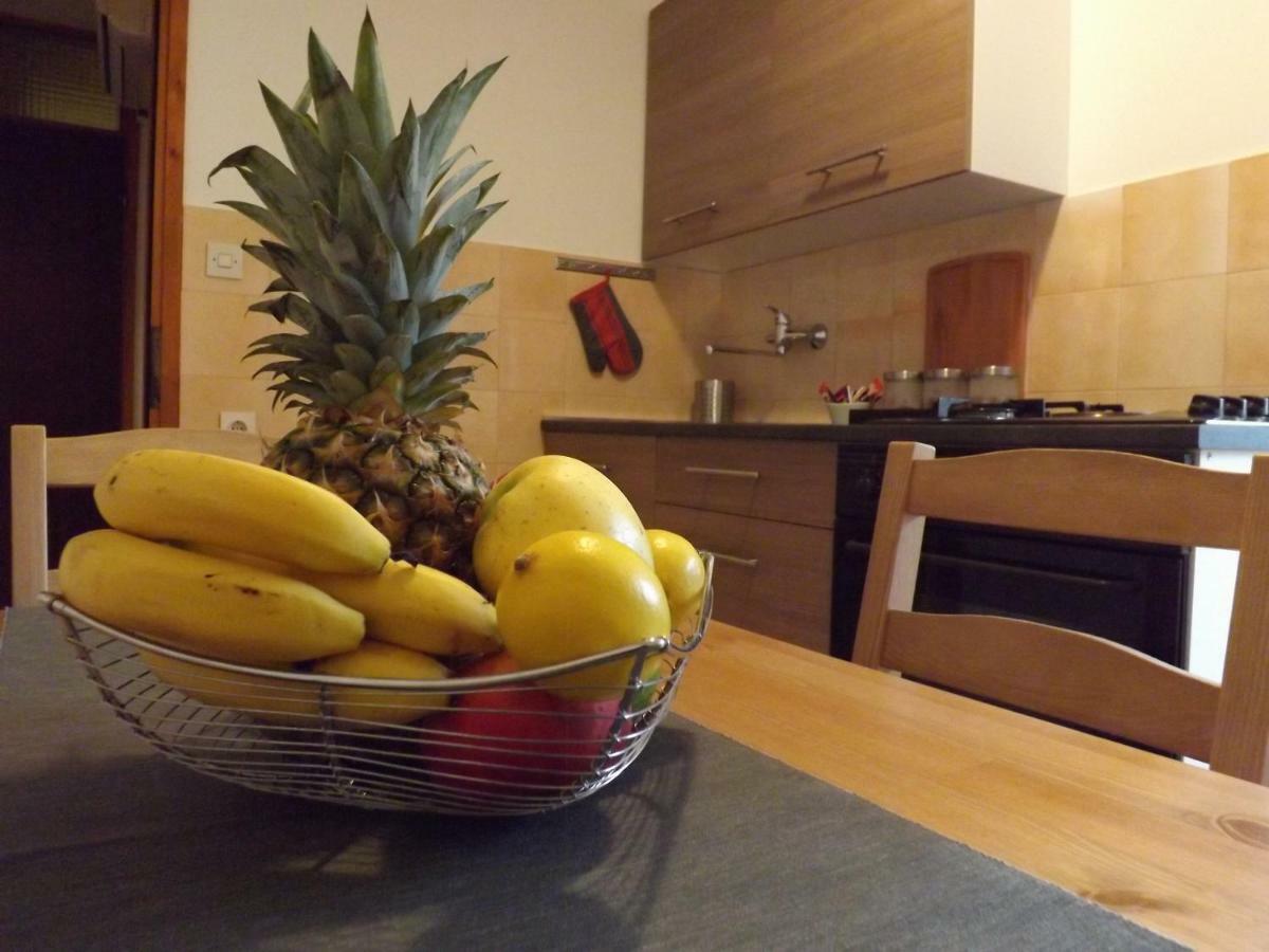 Apartments Pepe Novigrad Istria المظهر الخارجي الصورة